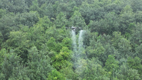 《监督护航“临沧坚果”“飞”出科技振兴路》
